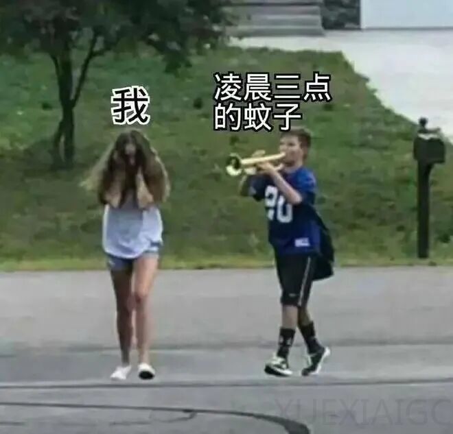 作为一个招蚊体质，这是我第一个真心支持的AI项目