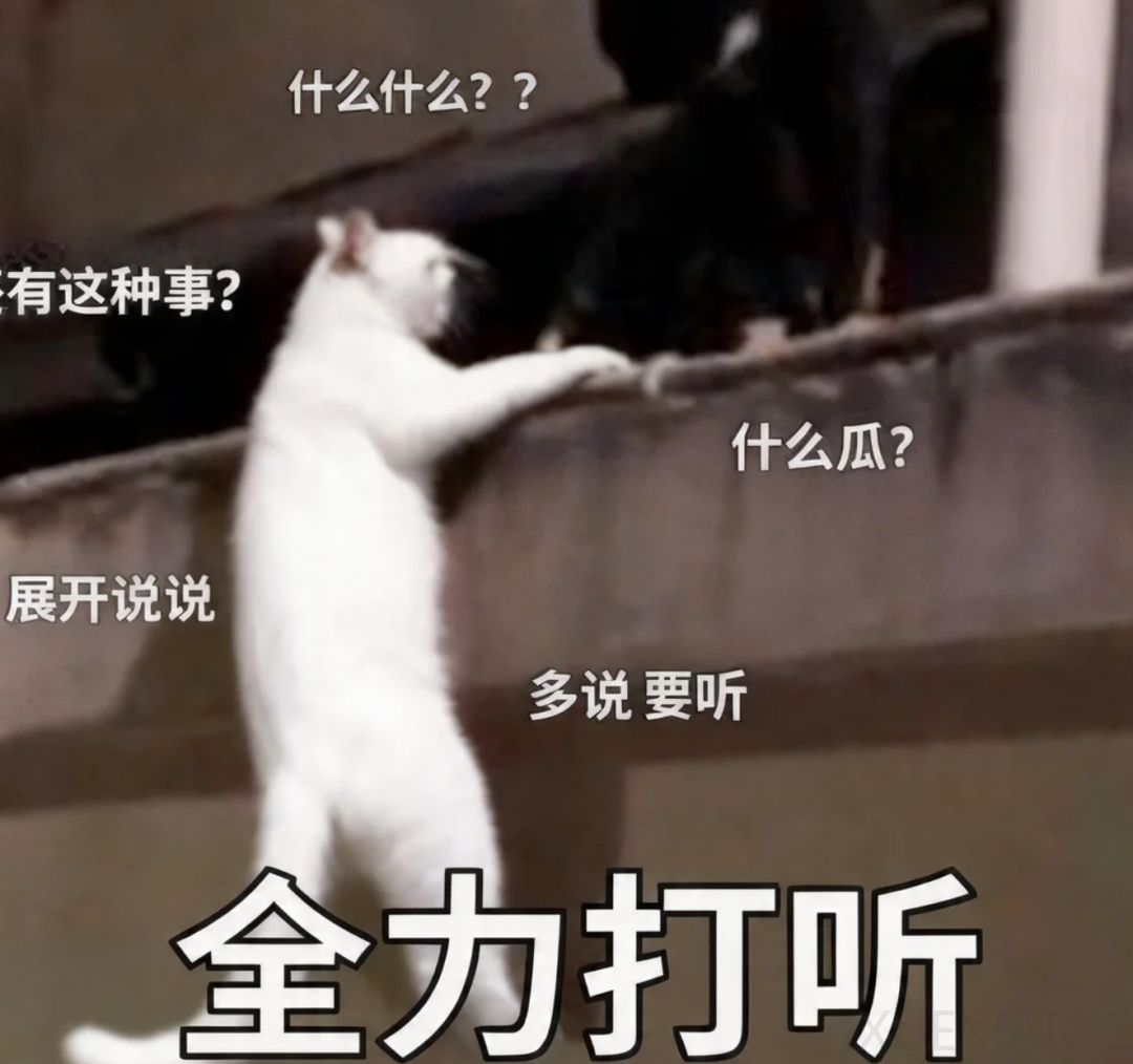 横扫全球15项SOTA！高德首个面向AGI的全栈具身技术体系大公开