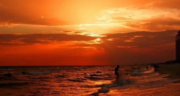 Zed 为什么不用自己造 Agent？OpenAI 架构师给出答案：Codex 重划 IDE × Coding Agent 的分工边界