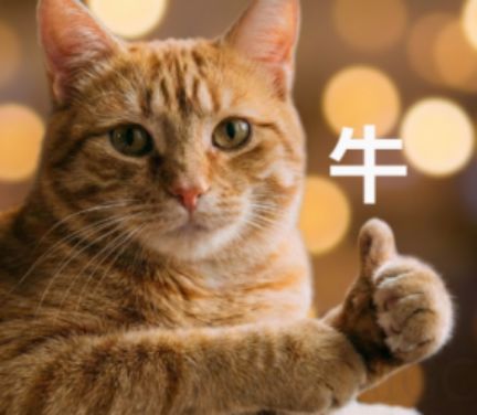 打败GPT-5.2，嵌入真实工业生产，这个大模型什么来头？