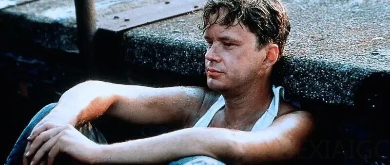 万字拆解Palantir：股价暴涨30倍幕后，中国厂商卡在哪？