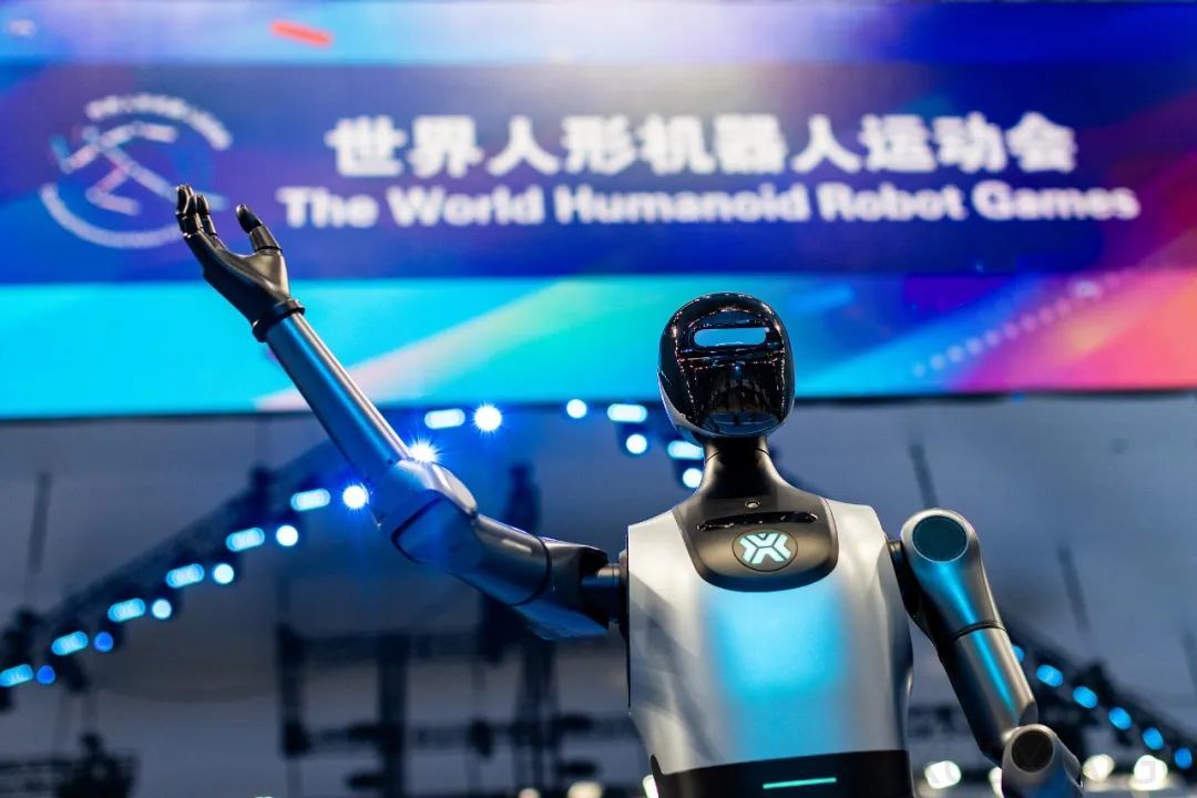 五百余名“健将”集结,这场运动会为何这么燃?