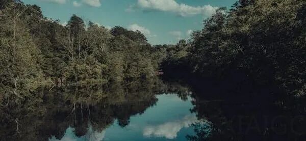 Gemini 账户 48 小时被盗刷 57 万，三人创业团队站在破产边缘