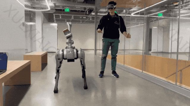 用Vision Pro实时训练机器狗!MIT博士生开源项目火了