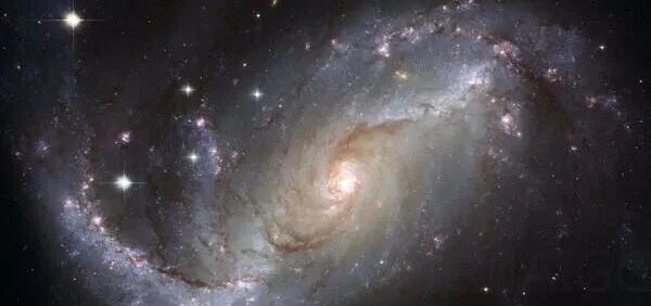 OpenAI 盲测新模型不如 Nano Banana Pro？曝 Altman 要暂停 Sora，死磕 ChatGPT