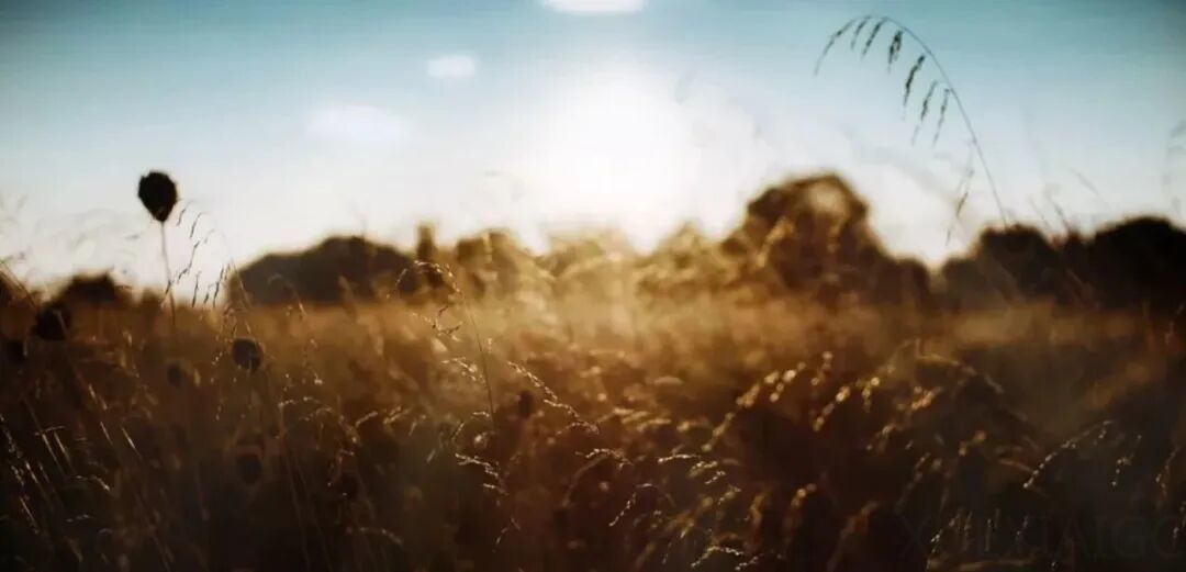 8 个月 50 亿产值，非程序员用秒哒赚疯了？秒哒如何解决后端难、token 贵、屎山烦