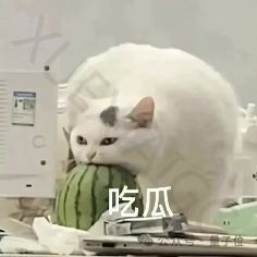 人大系初创与OpenAI三次“撞车”:类Sora架构一年前已发论文