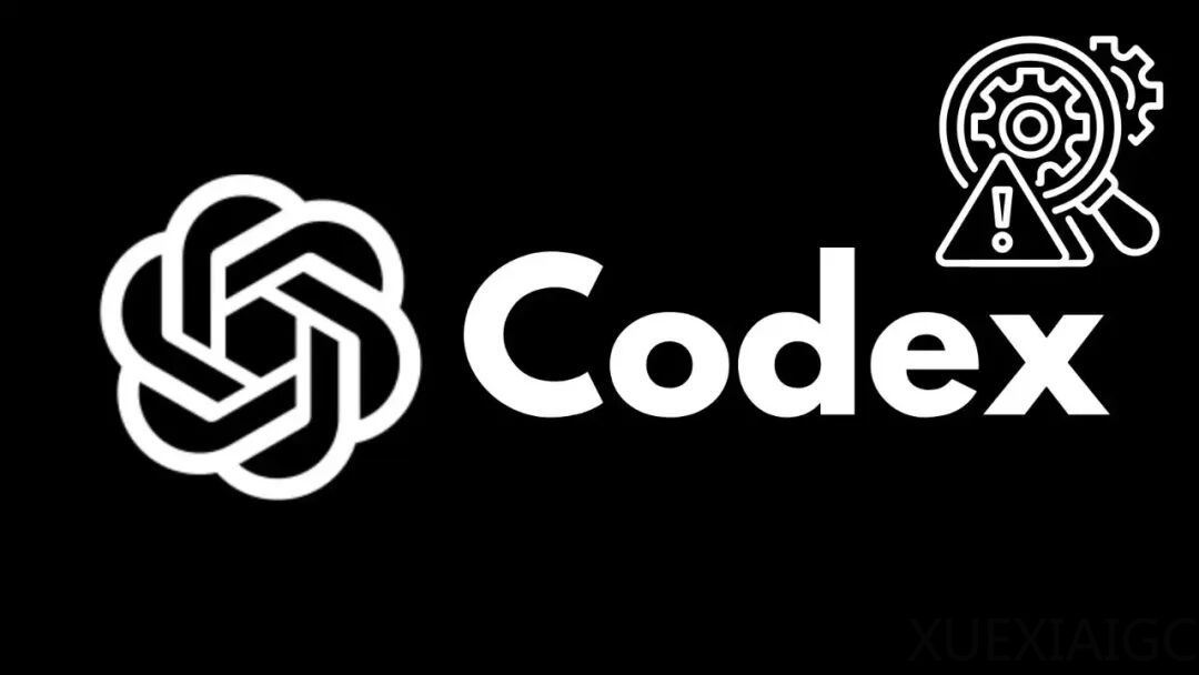 Codex，1 个月吃掉 150GB 流量，写满 4T 硬盘，疯了吗？