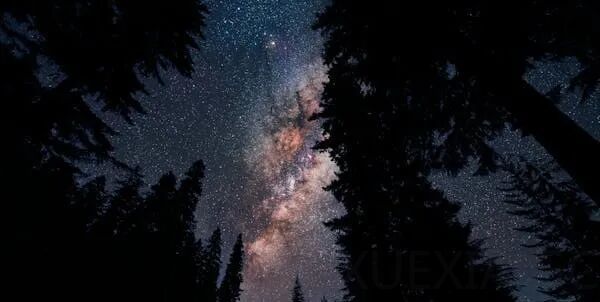 智能体 AI 模式强化软件工程规范性