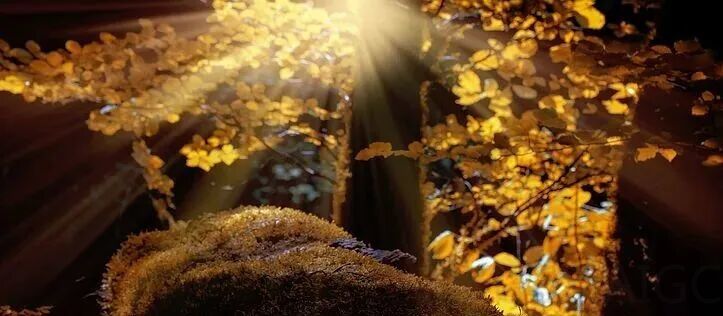 华为看好的具身公司又融 10 亿！极佳视界宣布完成 Pre-B 轮融资，老股东超额加持