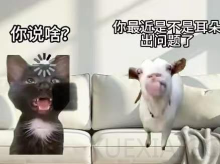 AI能帮忙厨房看火了！面壁智能开源全模态模型MiniCPM-o4.5，边看边听还能主动抢答