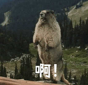 运行LIama2得8400万元!最快AI推理芯片成本推算引热议