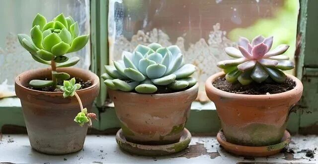 “2030年消灭所有C/C++”？微软紧急否认AI+Rust重写Windows 11，但“一人一月一百万行代码”已让技术圈炸锅