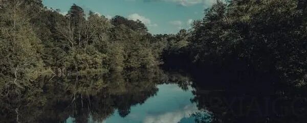 Stripe 工程师部署了自主智能体 Minions，每周生成数千个拉取请求