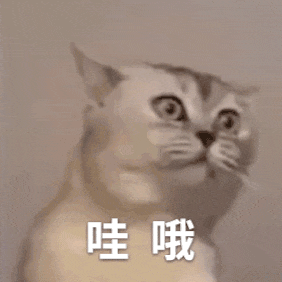 这届985毕业生直播带货一把好手!50余款产品热销全网供不应求
