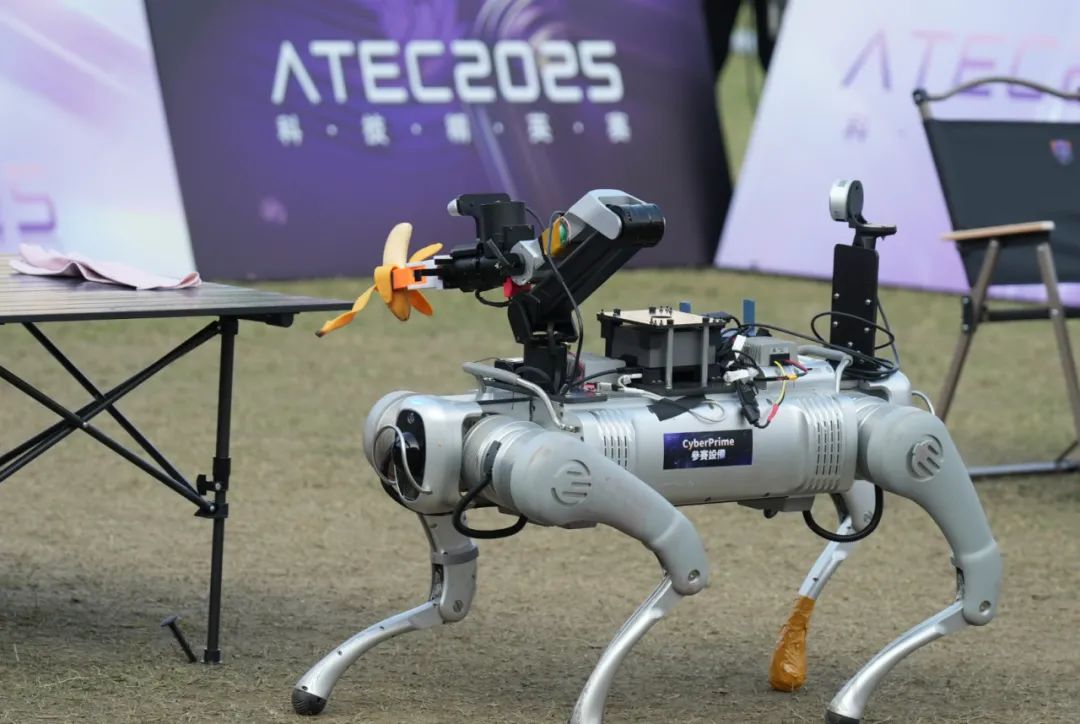 走向真实世界的机器人，离真正的「智能」又近了一步
