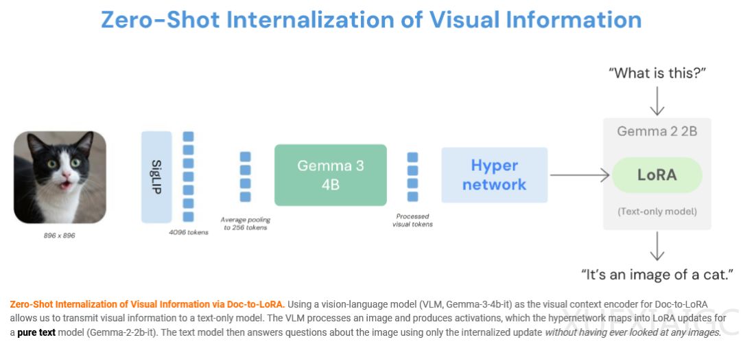 模型大脑可实时更新！用文本一键重塑模型记忆，低延迟按需即时更新
