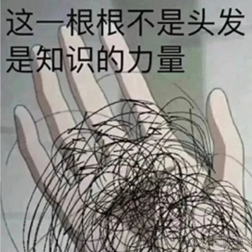 细节直逼亚毫米级!港科广分层建模突破3D人体生成|CVPR 2025