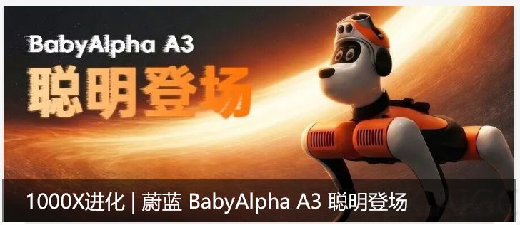 100亿砸向人形，不如先让10万台机器狗走进家庭