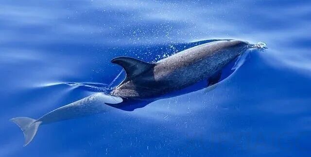 阿里云 Coding Plan 集齐四大国产模型最强版本，开发者迎来“Token 自由”