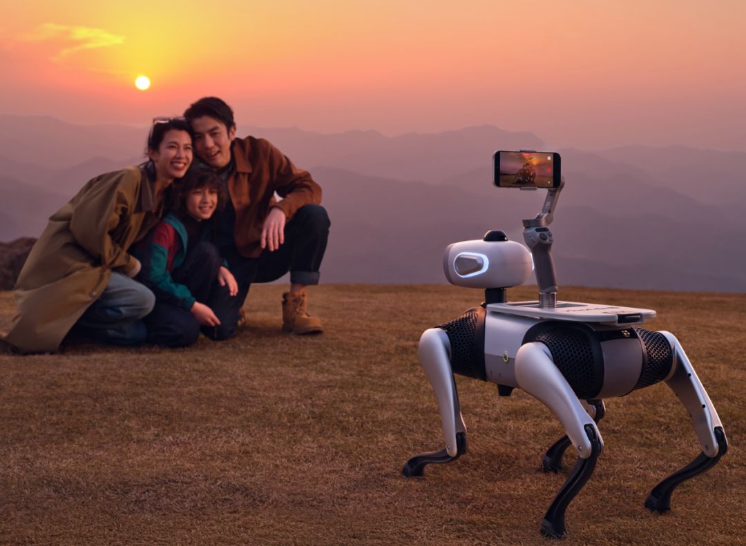 52 分钟订单破千，5 小时登上热搜，Vbot 用一只机器狗开启具身智能元年