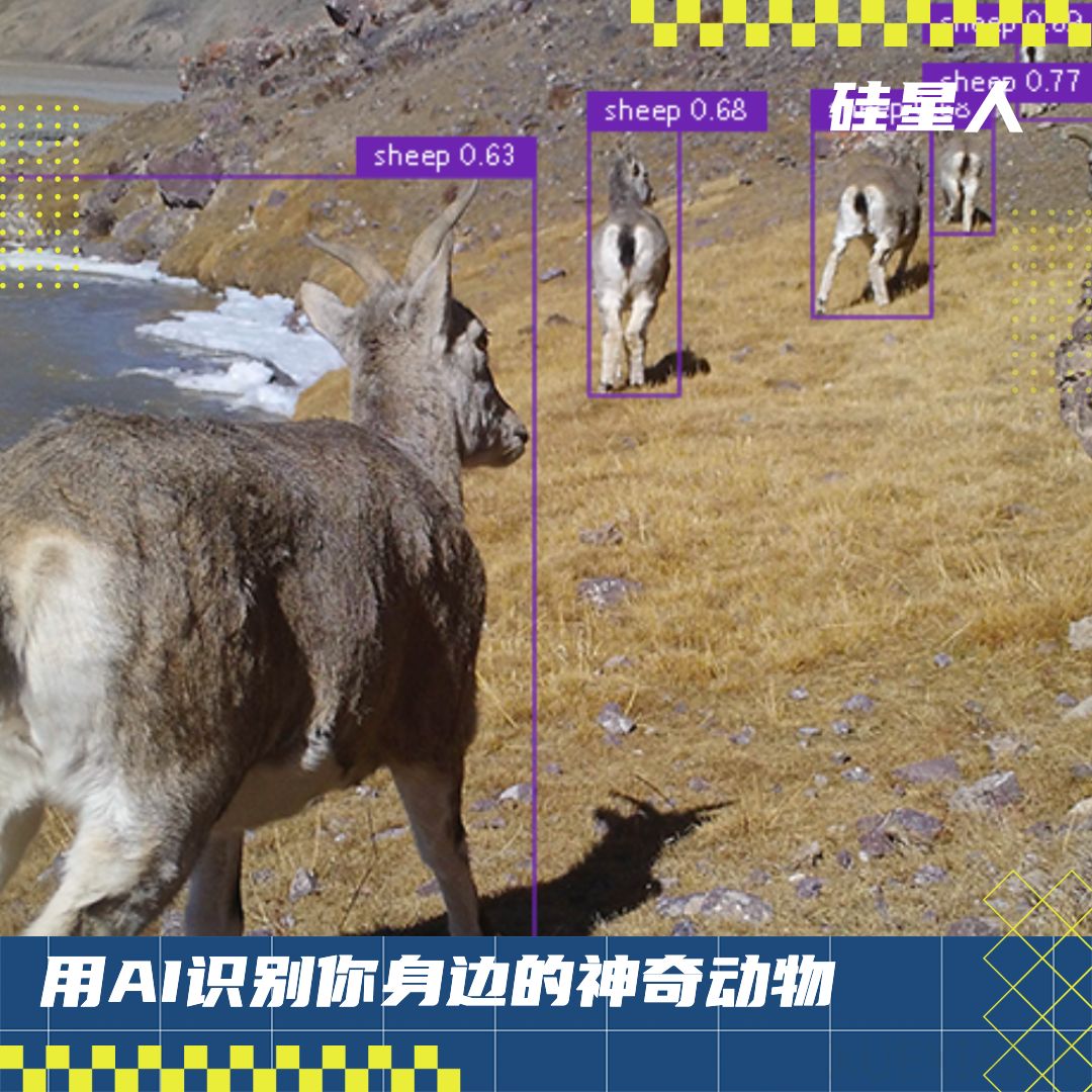 在AI这事上,腾讯终于干了一件很“野”的事