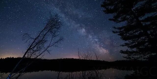 百万账户造假，真实用户数据”裸奔“！从 Moltbook 塌房，看AI时代的隐私暗战